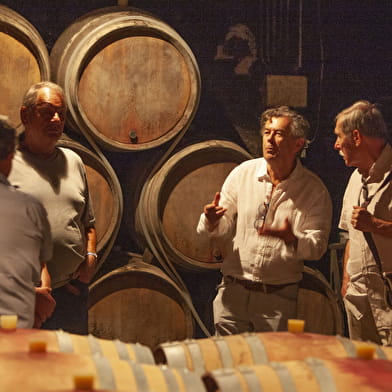 Gevrey Underground: 1.000 Jahre Weinbaugeschichte