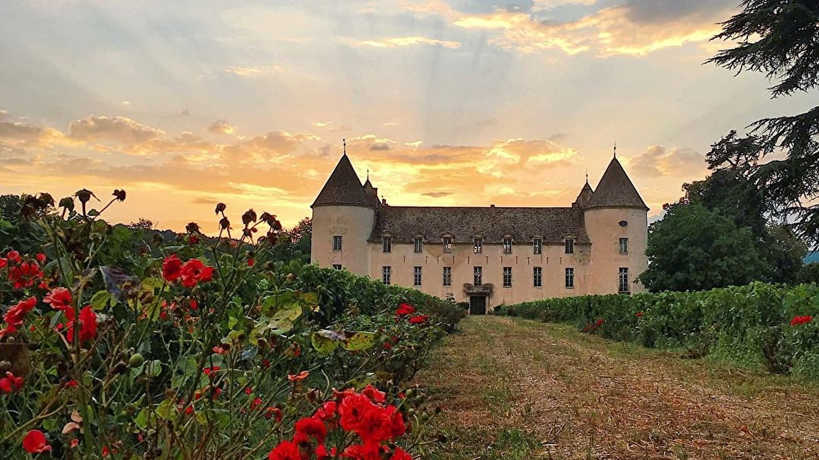 Wochenende Weinverkauf 2024 im Château de Savigny-lès-Beaune