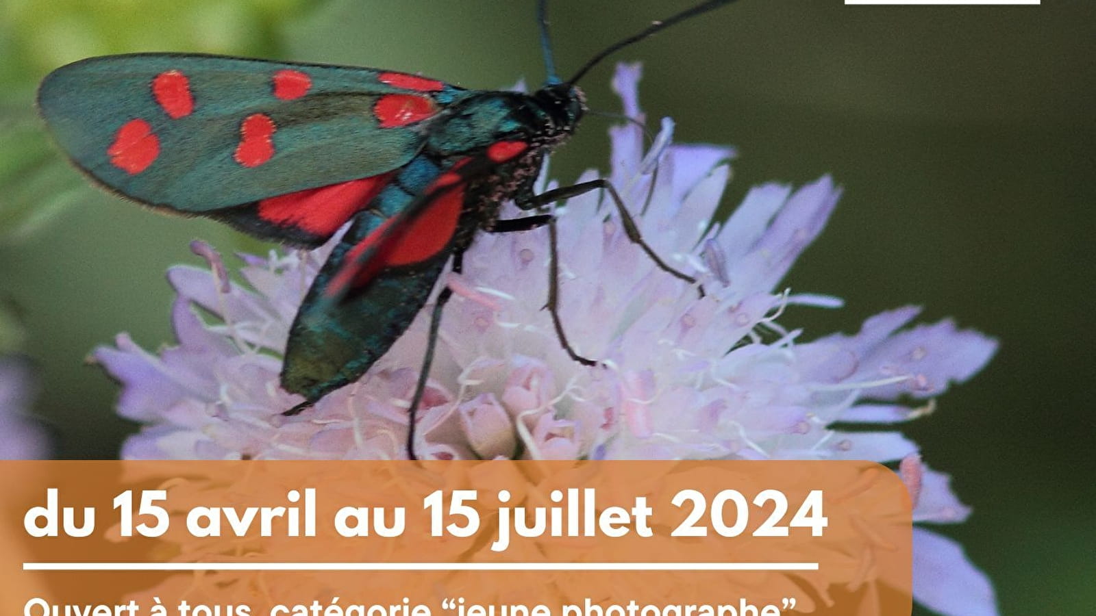 Fotowettbewerb Atlas der Biodiversität