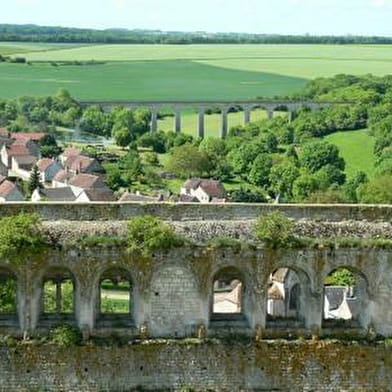 Château-Fort des Comtes d'Auxerre et de Nevers