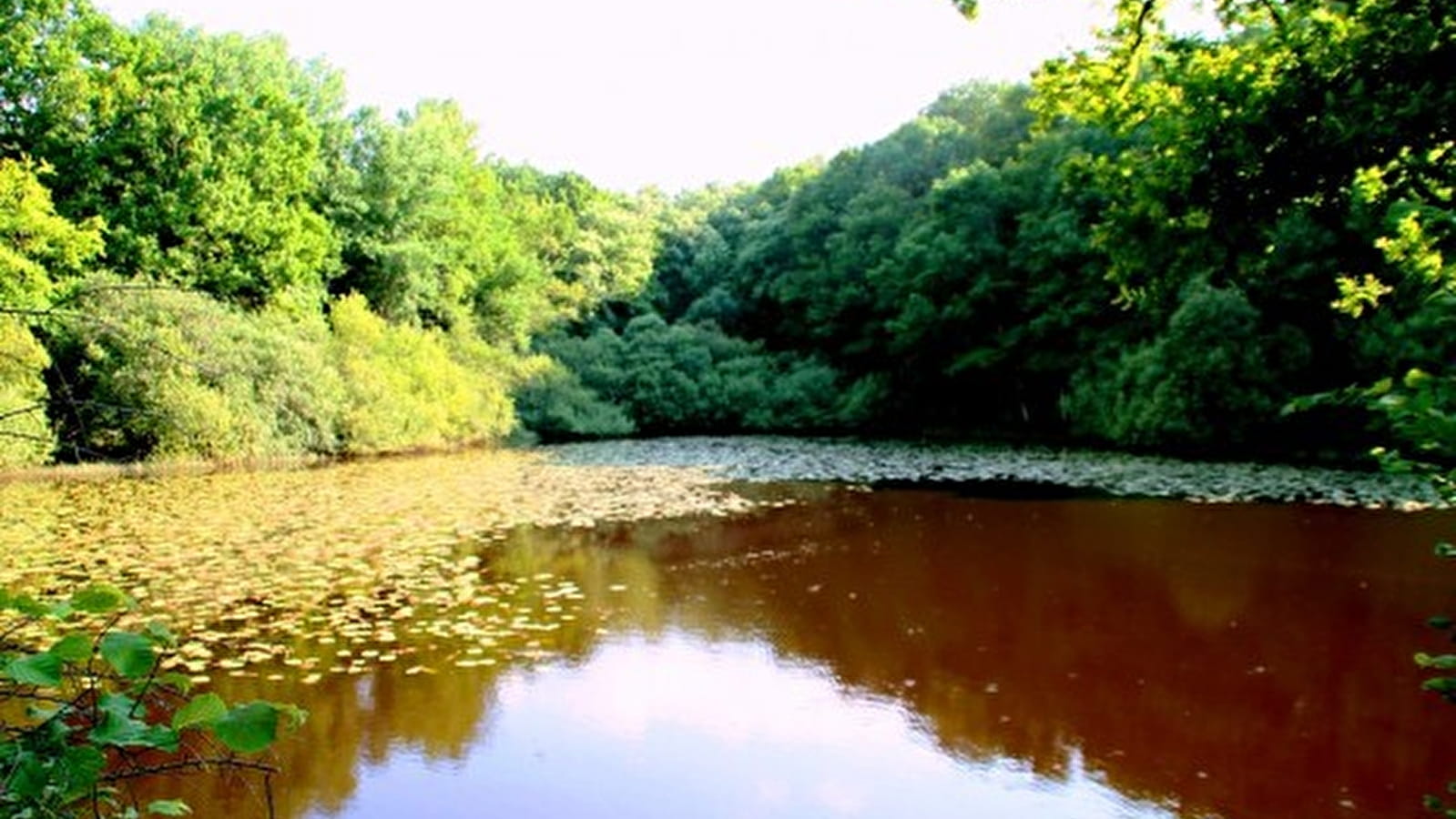 Der Teich von Moutiers