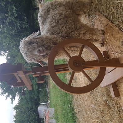 Workshop auf dem Bauernhof rund um die Angoraziege und die Wolle