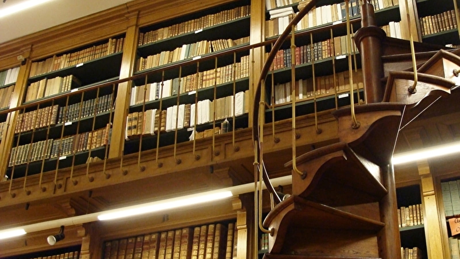 Bibliothèque patrimoniale