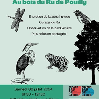 Natur-Workcamp im Bois du Ru de Pouilly_ENS2024