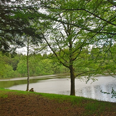 Zwischen Teich und Wald 
