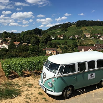 Visit and wine tour by Ermitage Corton