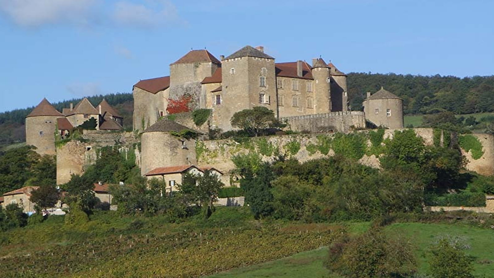 Société Viticole du Château de Berzé
