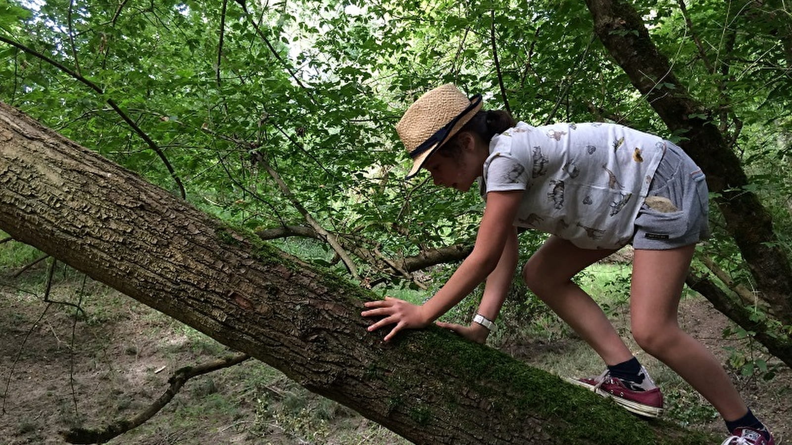 Les Aventuriers du Milieu de Loire - Naturtag für 6-12-Jährige