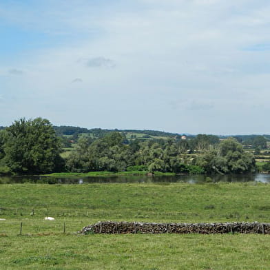 Entre Loire et étangs 