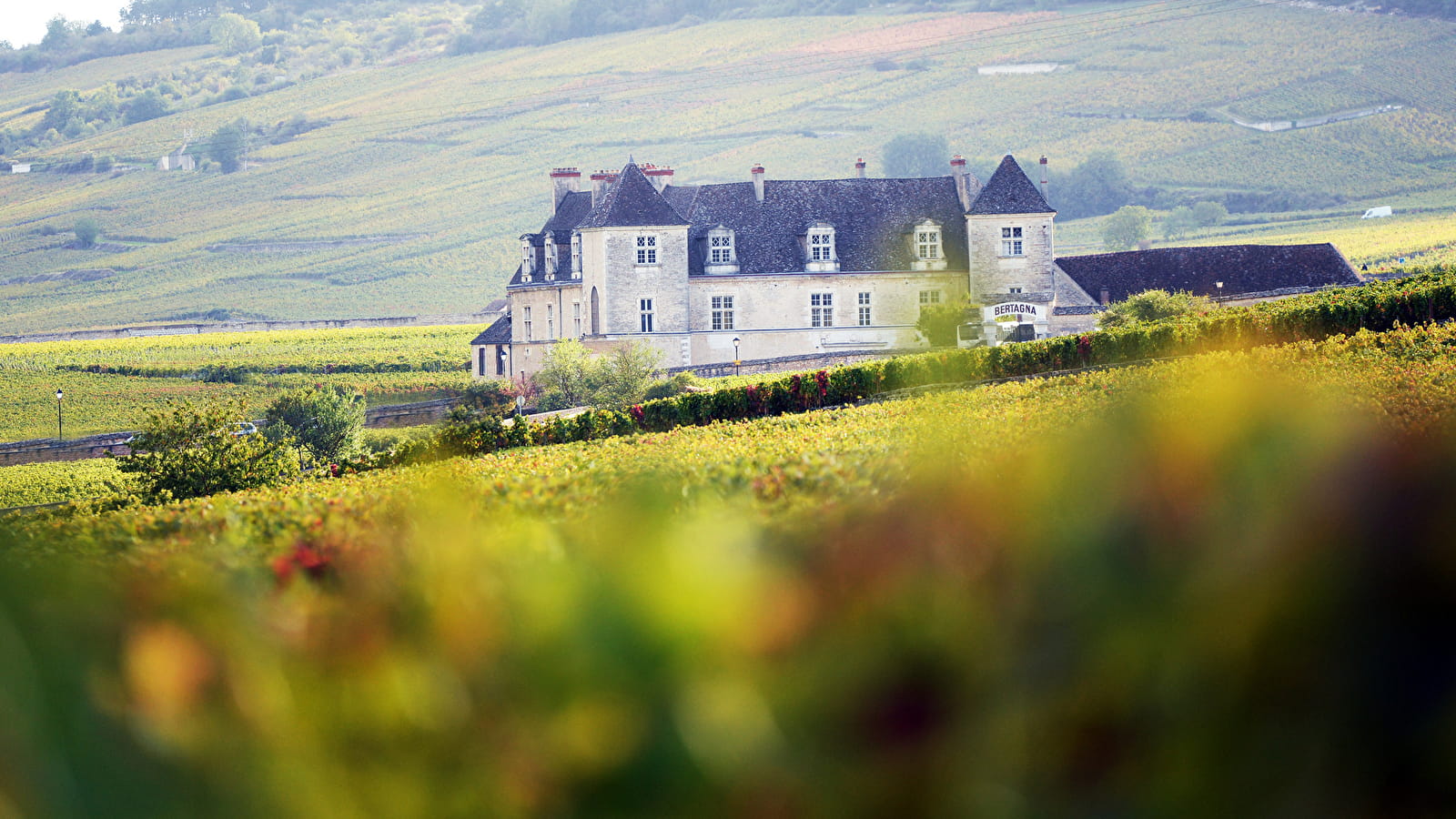 Wein- und Trüffelurlaub in Burgund
