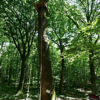 Lugny Acro' - Parcours d'aventure en forêt