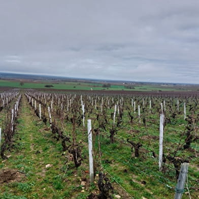 Von einem schönen Panorama über die Weinberge von Saint-Andelain aus