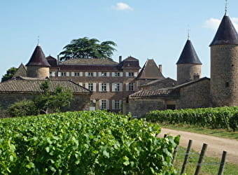 Château de Chasselas - CHASSELAS