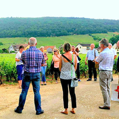 clos de Bourgogne, Master class découverte' Oenologie et dégustation'  des vins de Bourgogne 