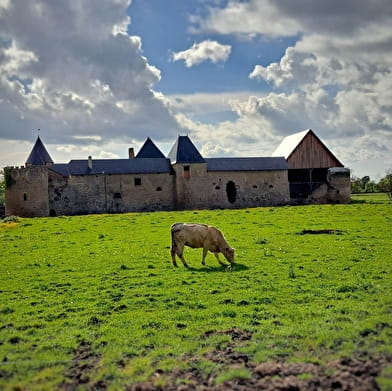 Besichtigung des mittelalterlichen Schlosses von Villars   