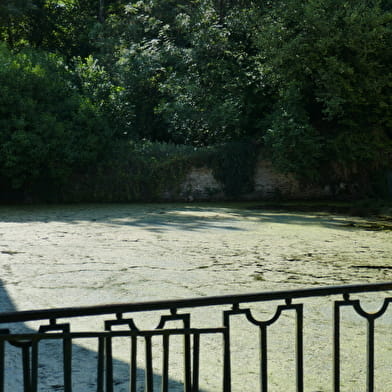 Fontaine du Roi