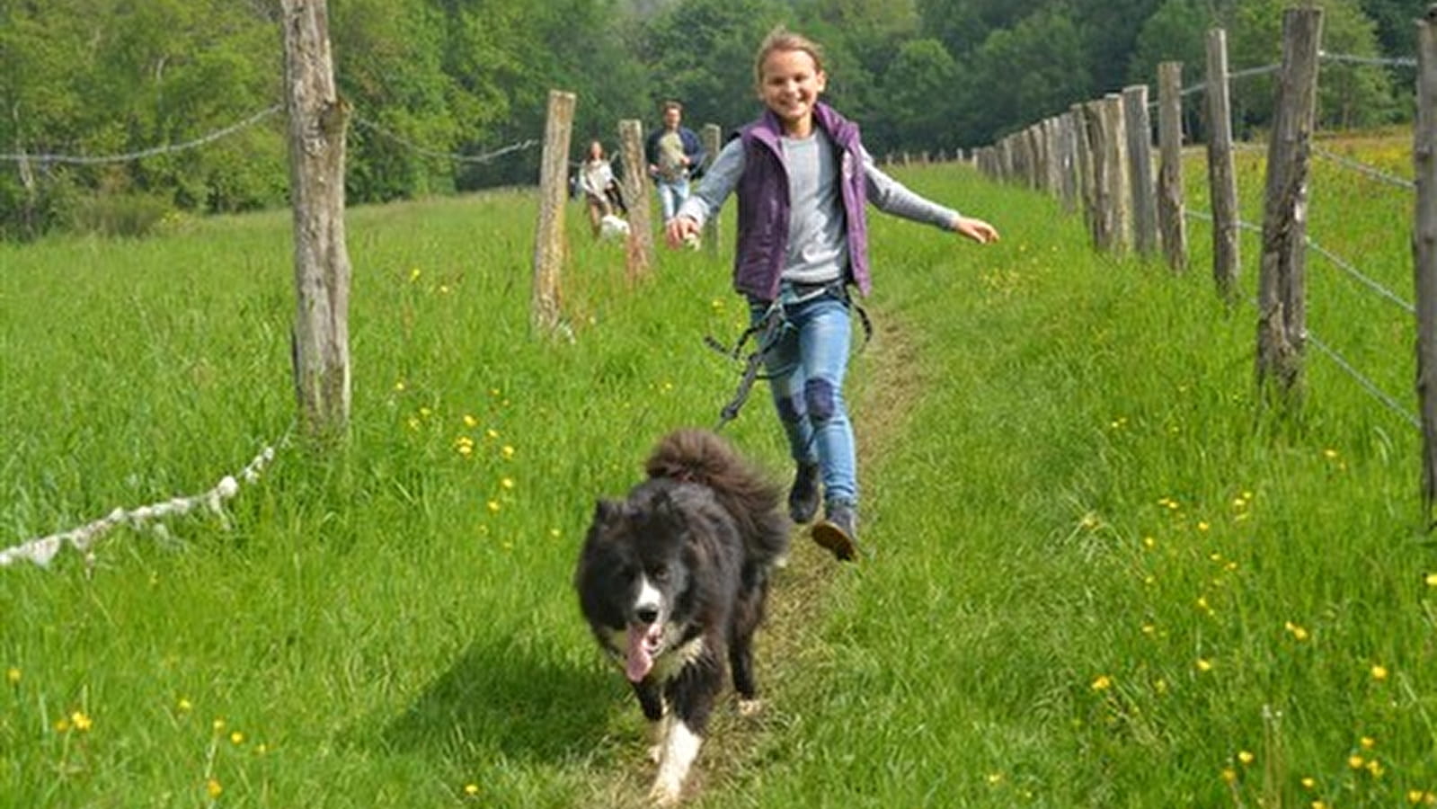 Cani randonnée par Wood'Cie Ranch Canin