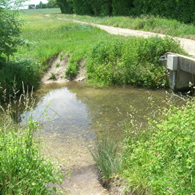 Kostenlose naturkundliche Spaziergänge auf dem Grundwasserspiegel von Dijon Sud und Cent Fonts - Route 1 (Fénay-Saulon-la-Rue) - ENS2024