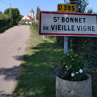 SAINT-BONNET-DE-VIEILLE-VIGNE