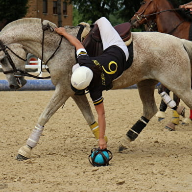 Championnat de France féminin de Horse Ball