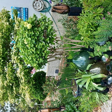 Garten Rina Van Gelder