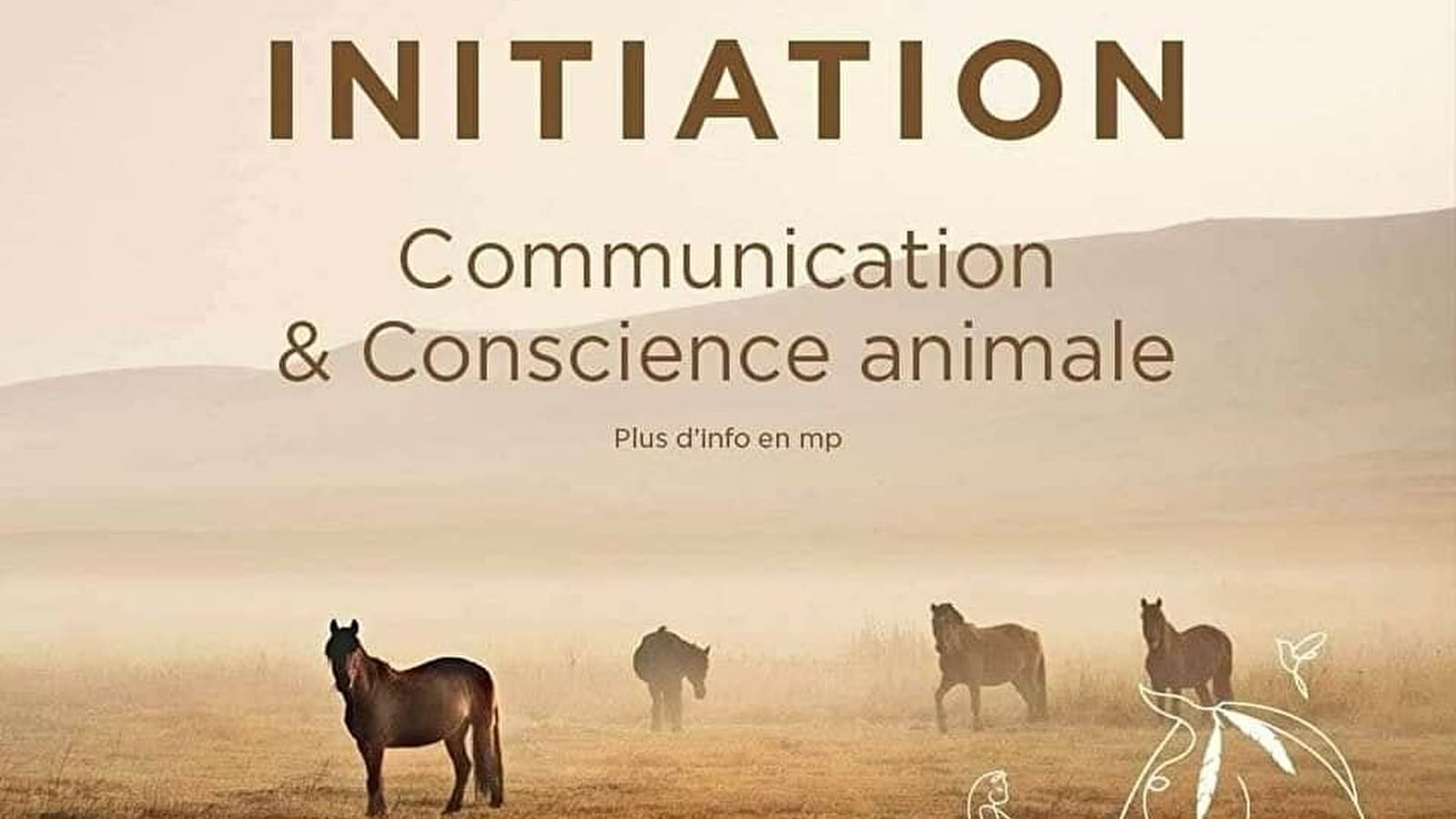 Einführung in die Tierkommunikation