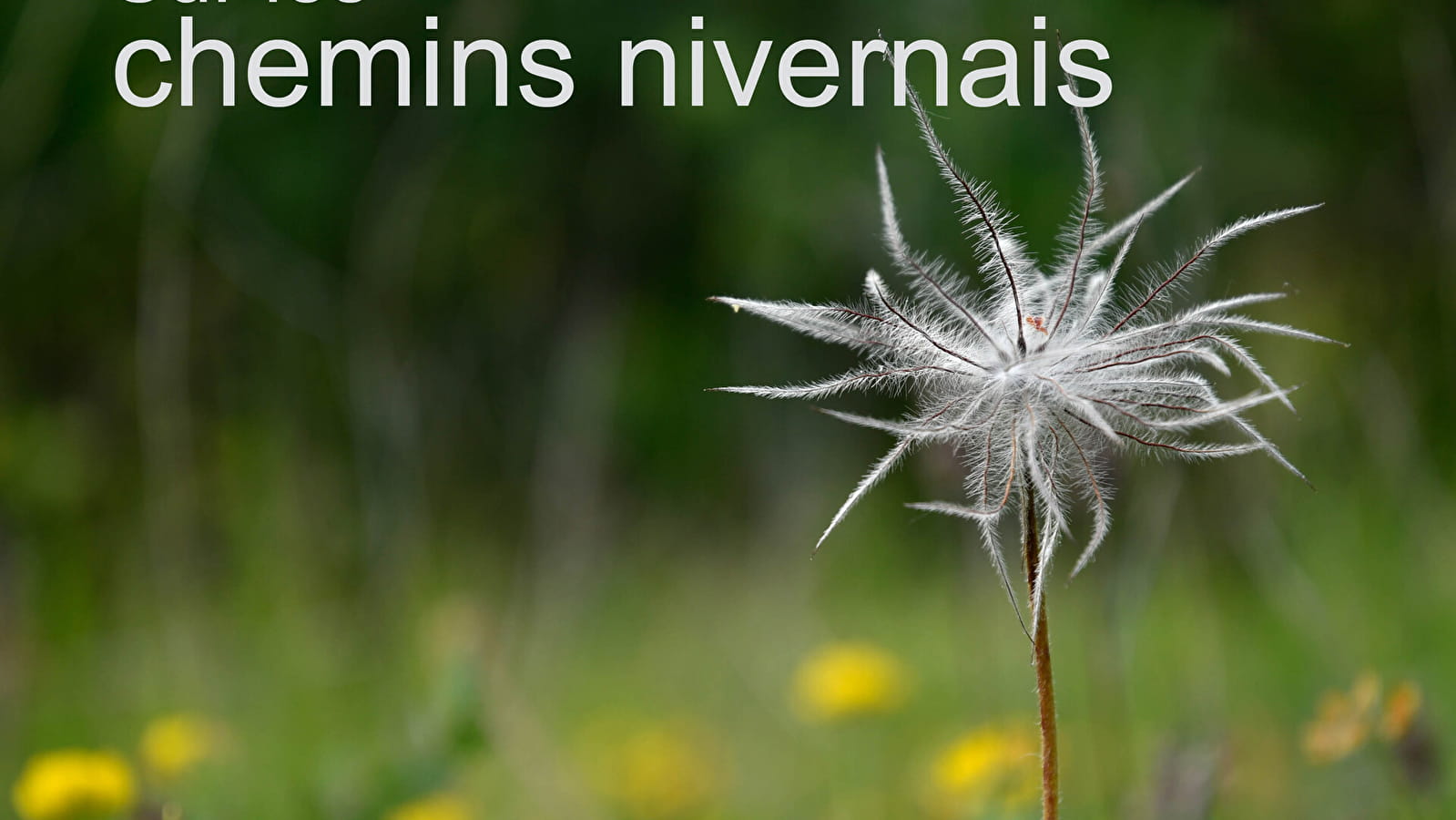 Fotoausstellung 'Sur les chemins nivernais' (Auf den Wegen von Nivernais)