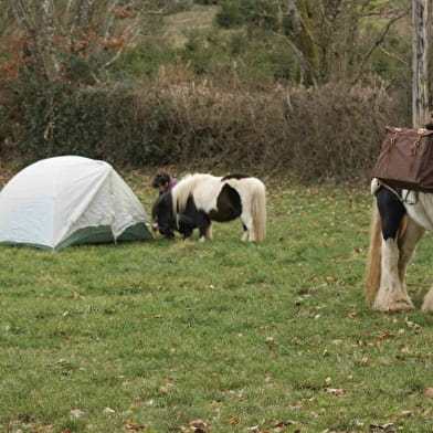 Wanderung - Dreitägiges Biwak zu Fuß mit Esel, Pferd und Pony