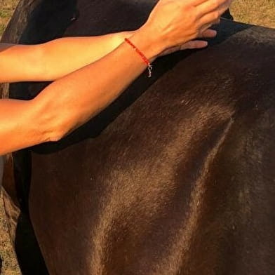 Massage bien-être cheval Cluny