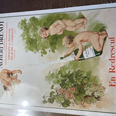 1h mit zeitgenössischem Kulturerbe: Weinrebe und Künstlerbuch
