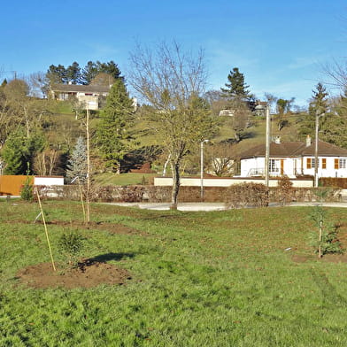 Arboretum de Leuglay
