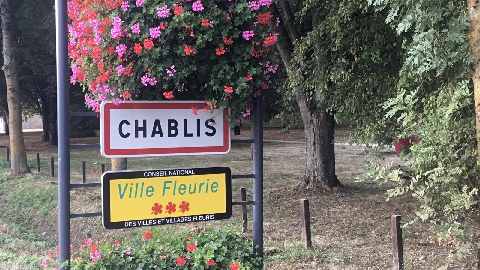Chablis - Les Forêts