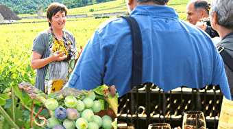 Clos de Bourgogne, les escapades 'secrets de la vigne au vin' - VOUGEOT