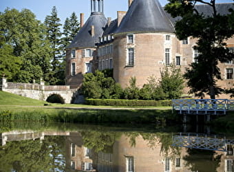 Château de Saint-Fargeau - SAINT-FARGEAU