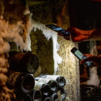 Gevrey Underground: 1.000 Jahre Weinbaugeschichte