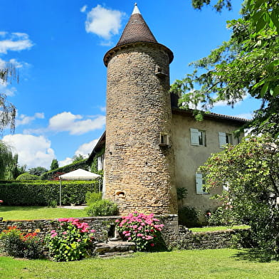 La Tour du Château de Chaintré