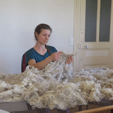 Workshop auf dem Bauernhof rund um Angoraziegen und ihre Wolle