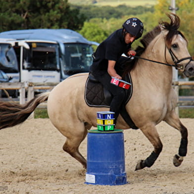 Reitturnier - Französische Meisterschaft Ponyspiele