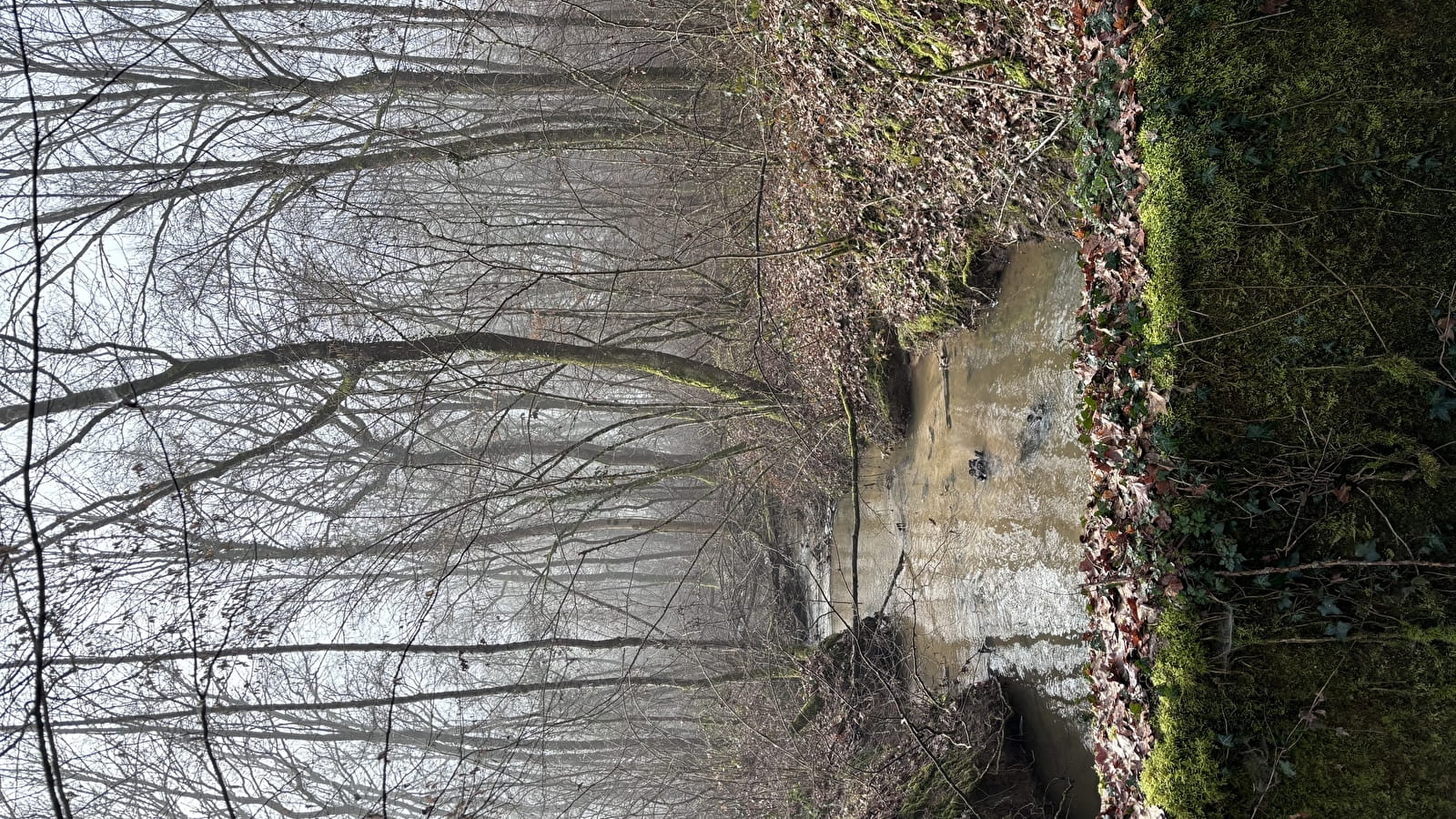Balade Verte - Spaziergang zwischen Wiesen, Wäldern und Flüssen (VSG 2)