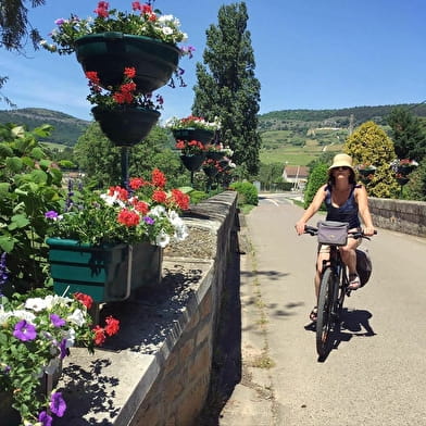 Active Tours: Mit dem Fahrrad durch die Weinberge von Beaune nach Mâcon