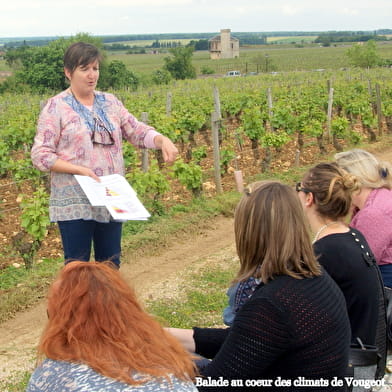 Praktikum zur Entdeckung der Burgunderweine: Geführter Spaziergang, Einführung in die Weinprobe und die Önologie