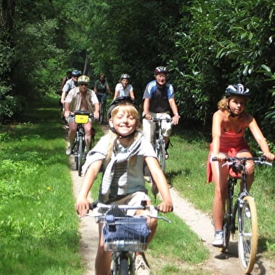 Fahrradtour für Kinder mit Führer - Vermenton - Grottes d'Arcy 