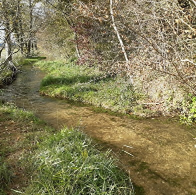 Kostenlose naturkundliche Spaziergänge auf dem Grundwasserspiegel von Dijon Sud und Cent Fonts - Route 2 (Saulon-la-Chapelle; Noiron-sous-Gevrey) - ENS2024
